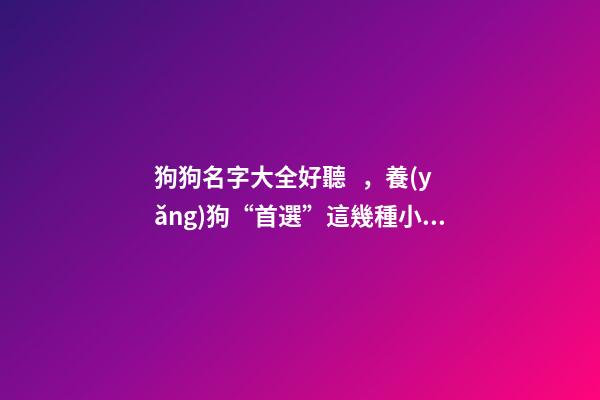 狗狗名字大全好聽，養(yǎng)狗“首選”這幾種小型犬-第1張-觀點-玄機(jī)派
